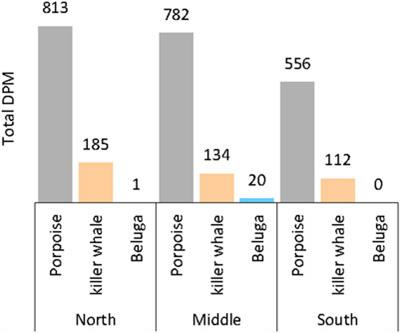 Beluga (D. leucas), harbor porpoise (P. phocoena), and killer whale (O. orca) acoustic presence in kotzebue sound, alaska: Silence speaks volumes